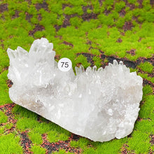 Load image into Gallery viewer, 1PC Natural Exquisite White Crystal Cluster Healing Stones Crystal Mineral Specimen Home Decoration Raw Crystals Gift