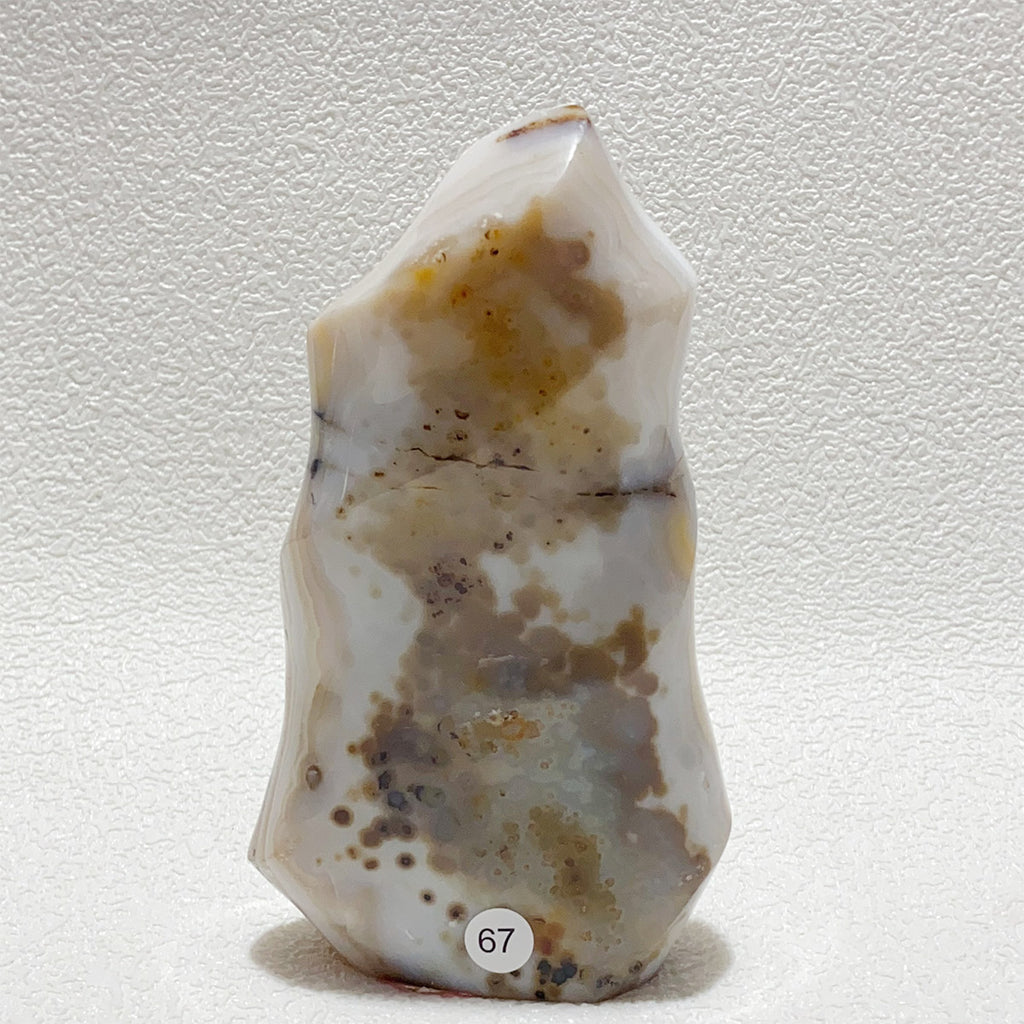 Ocean Jasper Crystal Freeform