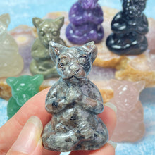 Load image into Gallery viewer, Crystal Yoga Leopard Carvings Crystal Ornament