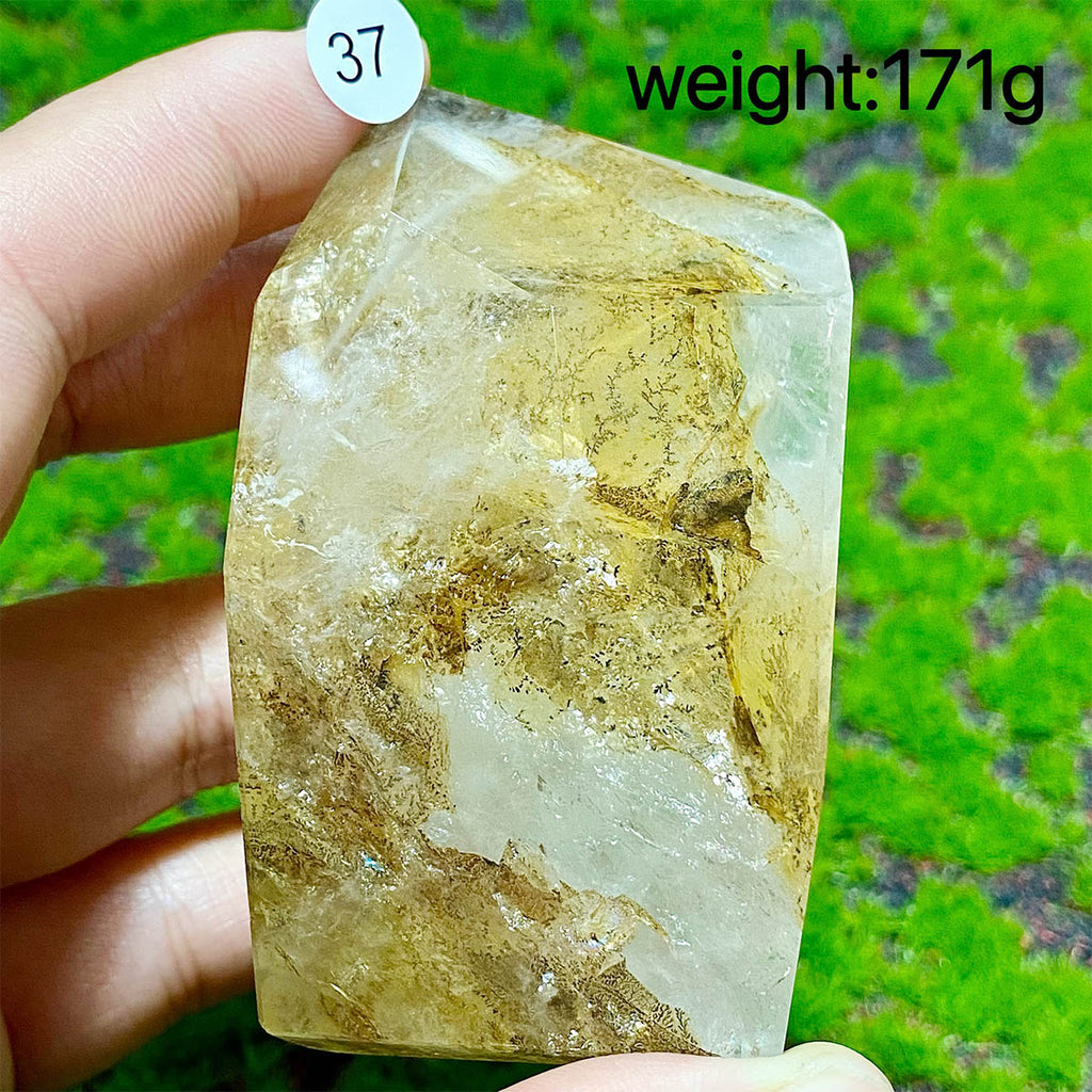 Dendritic Quartz Crystal Freeform