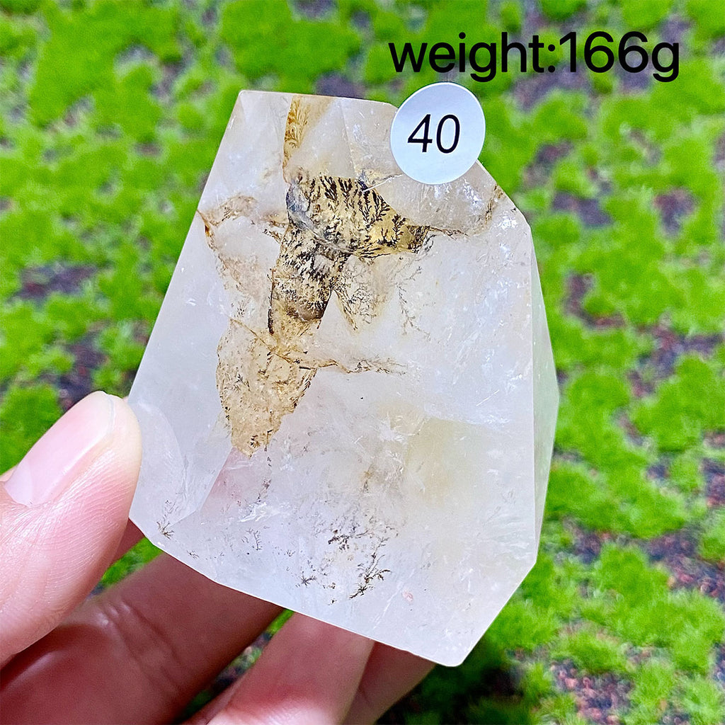 Dendritic Quartz Crystal Freeform