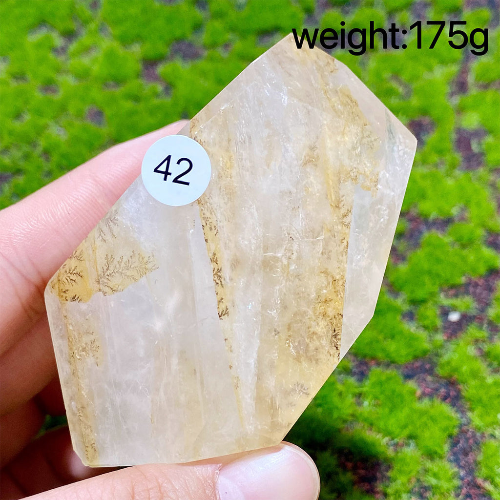 Dendritic Quartz Crystal Freeform