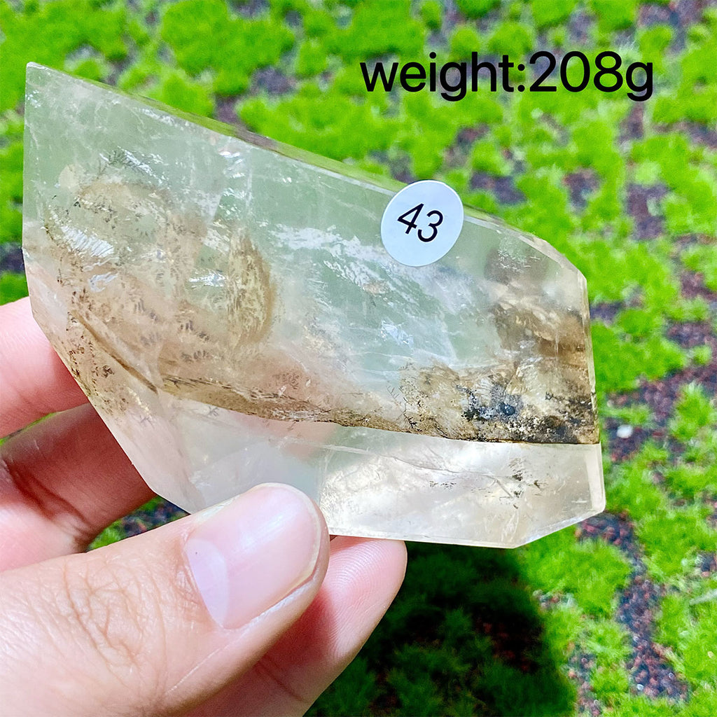 Dendritic Quartz Crystal Freeform