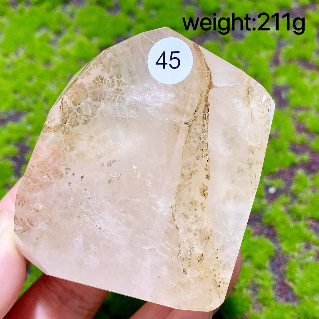 Dendritic Quartz Crystal Freeform