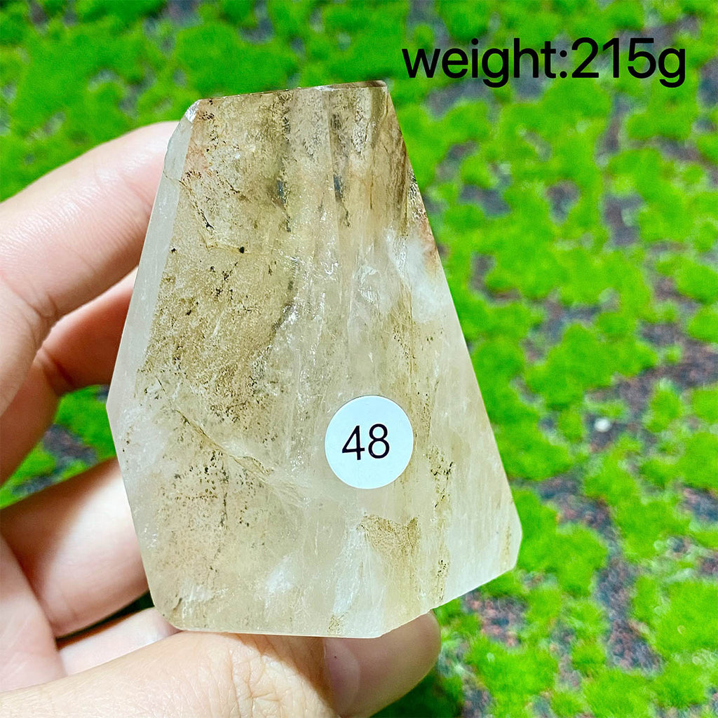 Dendritic Quartz Crystal Freeform