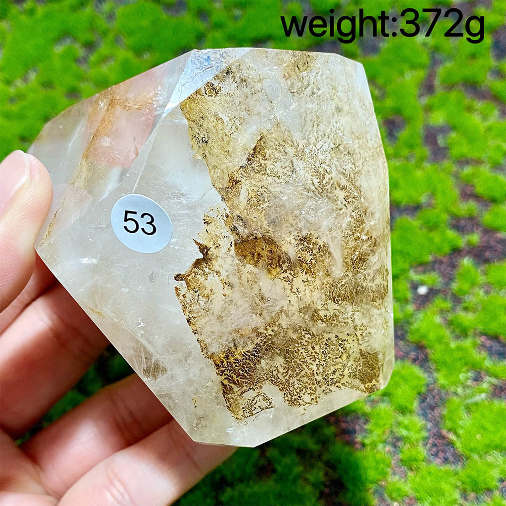 Dendritic Quartz Crystal Freeform