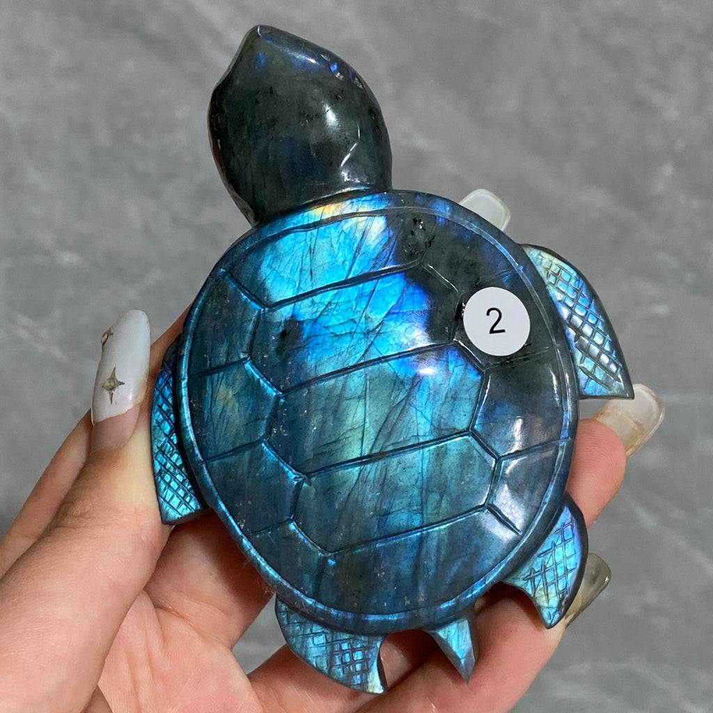 Blue Labradorite Sea Turtle Carving Handmade Polished Crystal Animal Statue Home Decoration