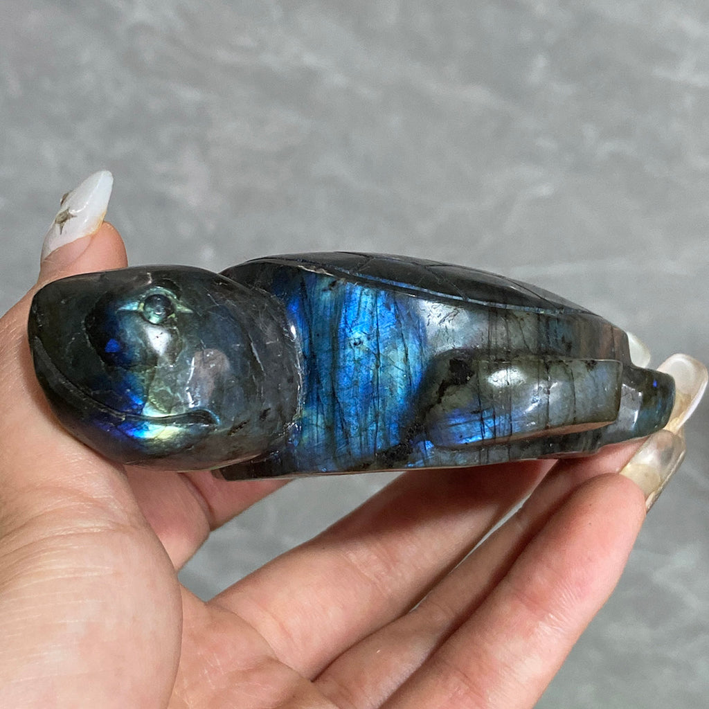 Blue Labradorite Sea Turtle Carving Handmade Polished Crystal Animal Statue Home Decoration