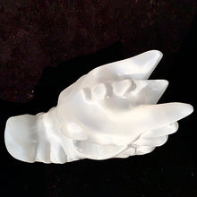 Load image into Gallery viewer, Selenite Dragon Head Carving