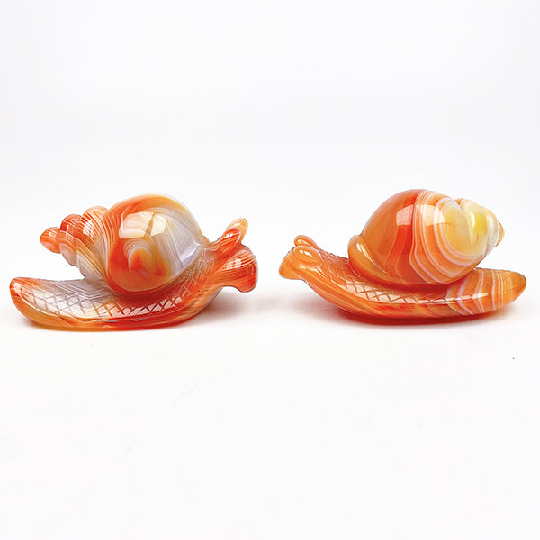 Beautiful   Carnelian Snail Carving