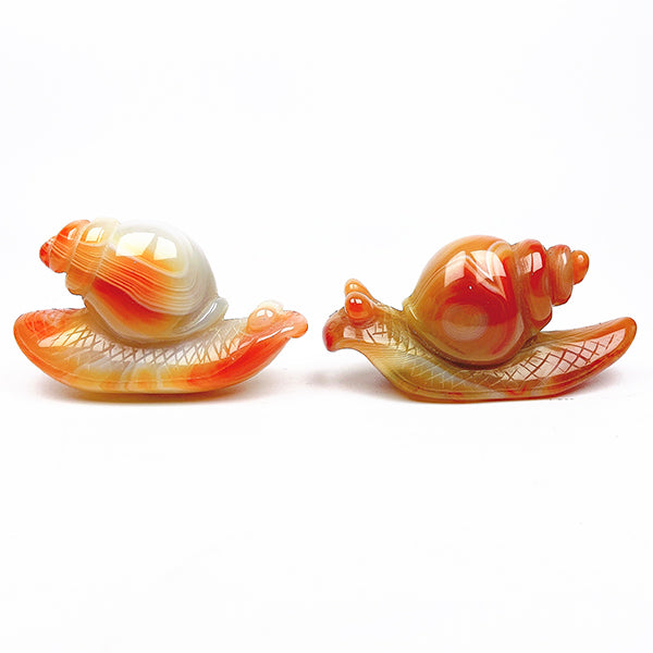 Beautiful   Carnelian Snail Carving