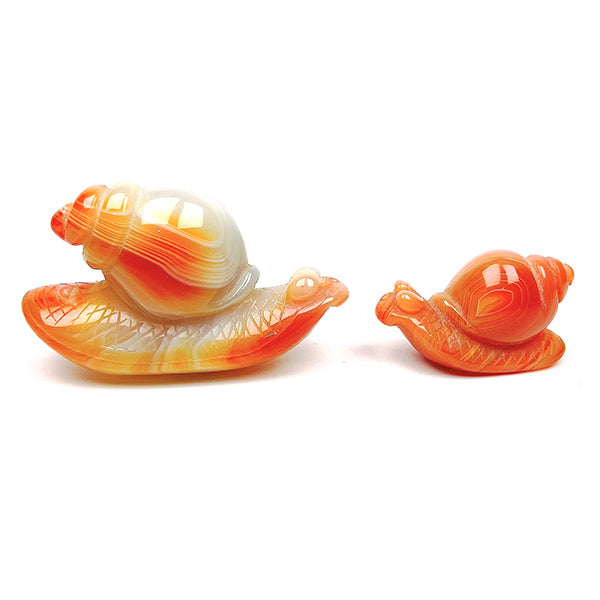 Beautiful   Carnelian Snail Carving