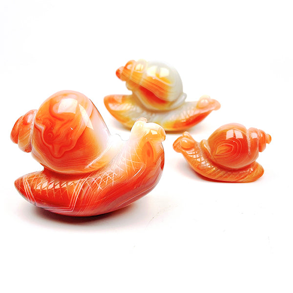 Beautiful   Carnelian Snail Carving