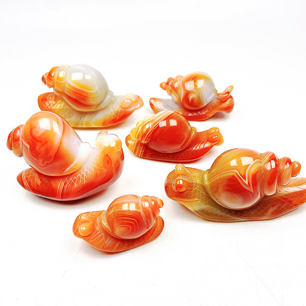 Beautiful   Carnelian Snail Carving