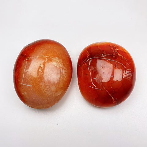 Carnelian Palm