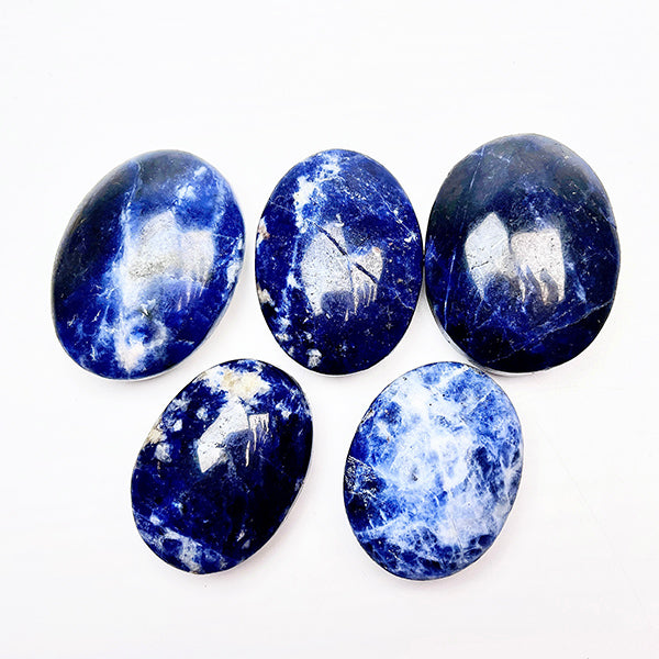 Beautiful Sodalite Palm