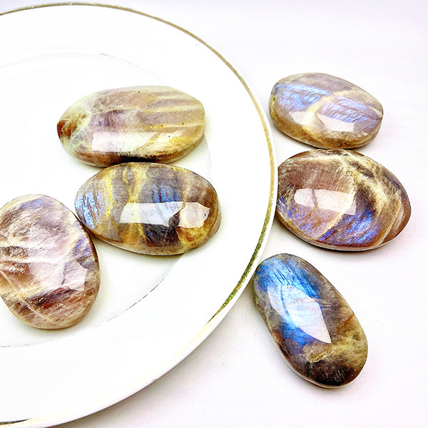 Beautiful  Blue Moonstone Palm