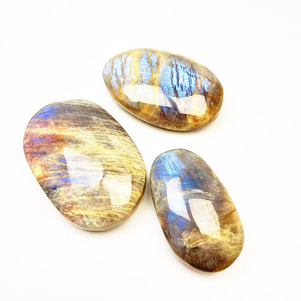 Beautiful  Blue Moonstone Palm