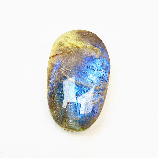 Beautiful  Blue Moonstone Palm