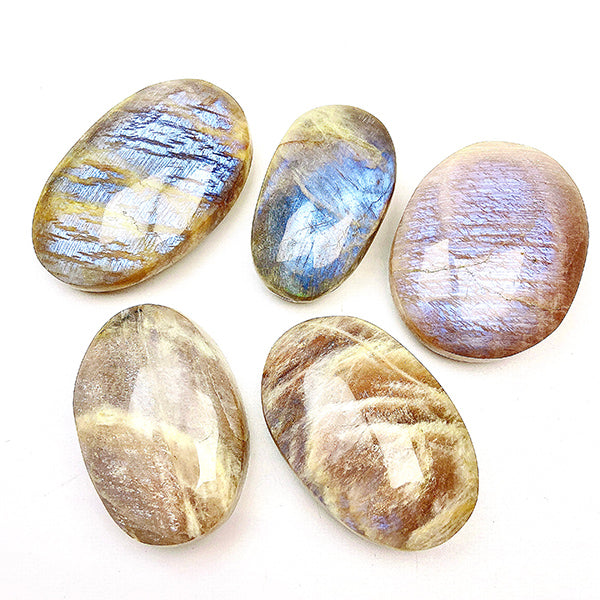 Beautiful  Blue Moonstone Palm