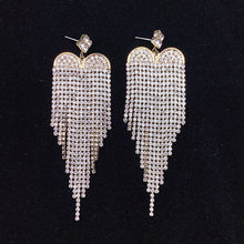 Load image into Gallery viewer, 925 Silver-Pin Tassel Zircon Earrings ED0020