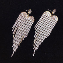 Load image into Gallery viewer, 925 Silver-Pin Tassel Zircon Earrings ED0020