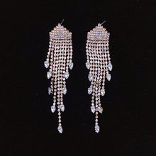 Load image into Gallery viewer, 925 Silver-Pin Tassel Zircon Earrings ED0023