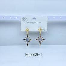 Load image into Gallery viewer, Stainless Steel Moon Star Earrings EC0039