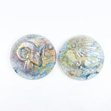 Beautiful Labradorite Twelve Constellations Disc