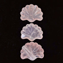 Load image into Gallery viewer, Beautiful Rose Quartz Shell Carvings