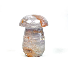 Load image into Gallery viewer, Natural Ocean Jasper Mushroom