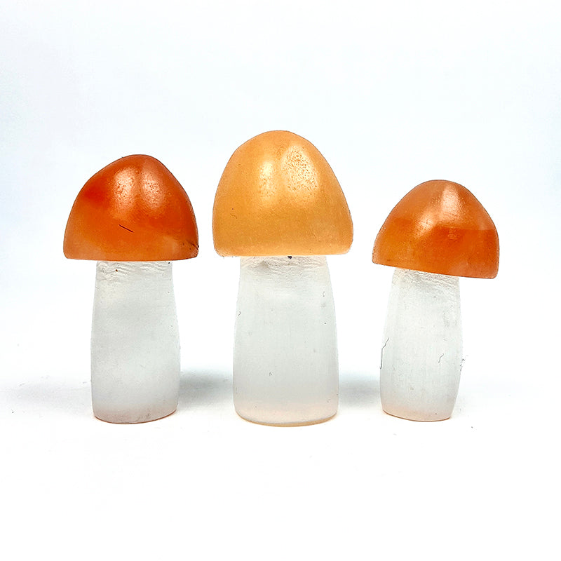 Beautiful Sselenite Mushroom Carving