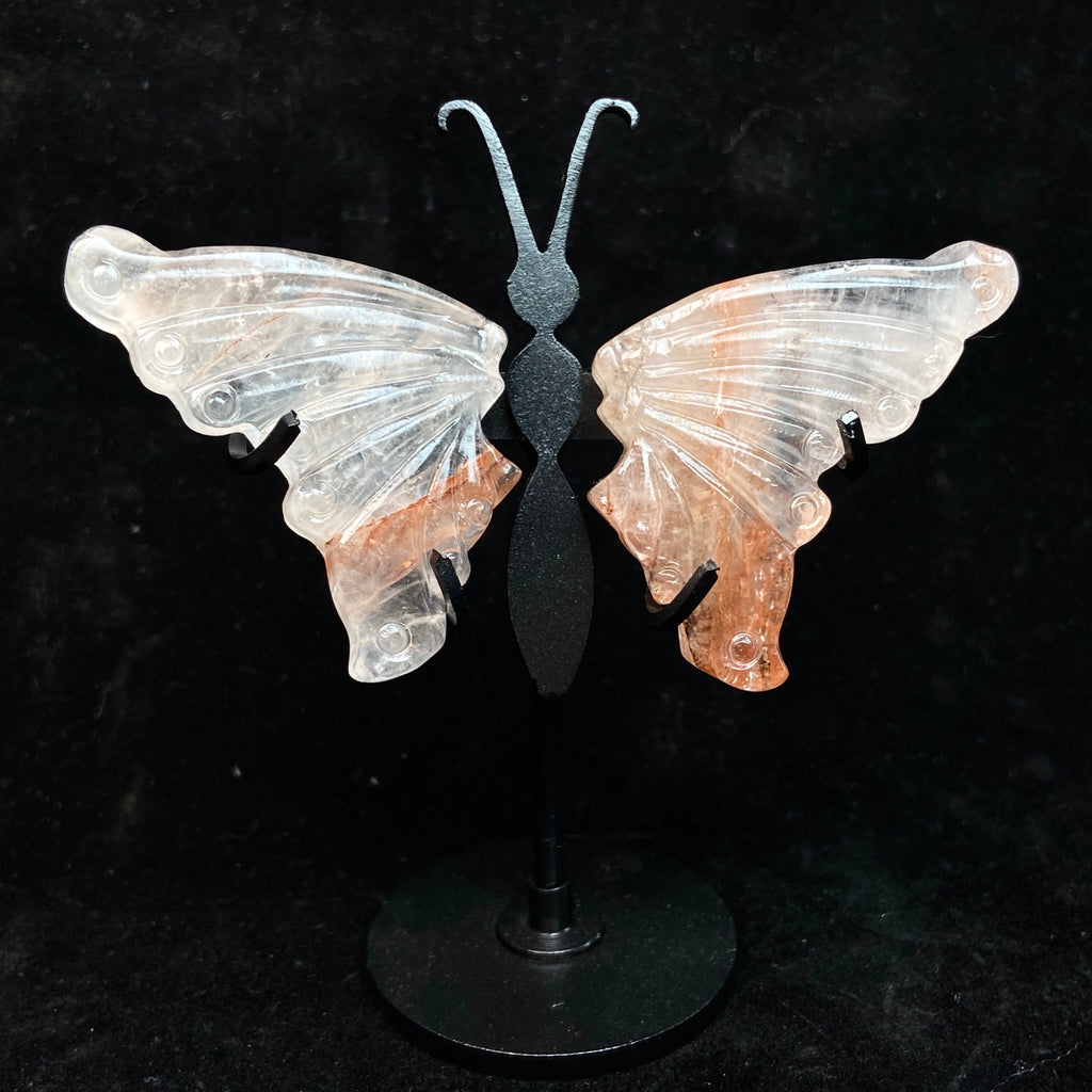 Small Size Butterfly Set