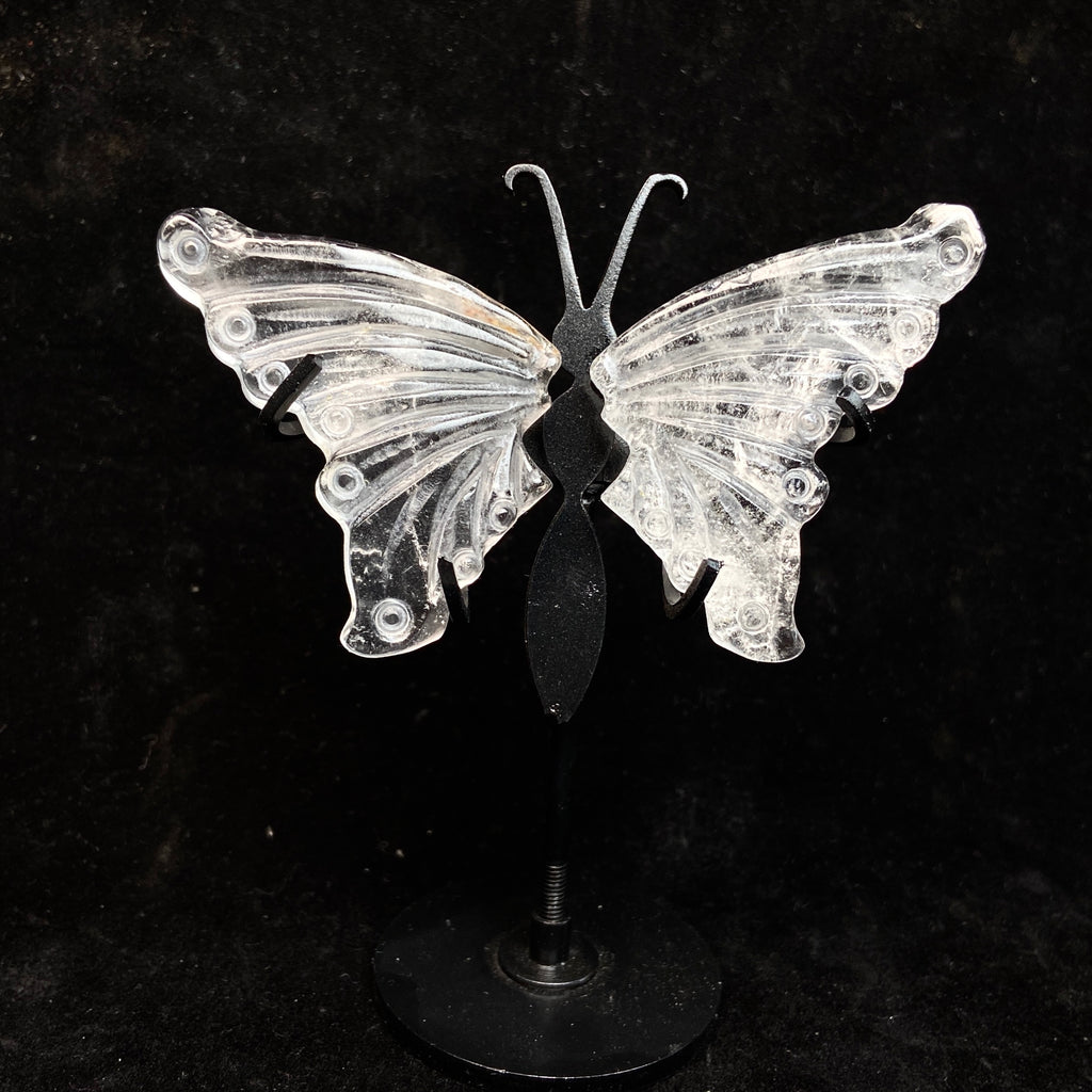 Small Size Butterfly Set