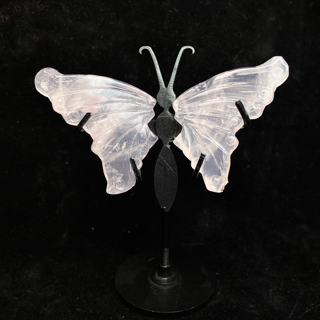 Small Size Butterfly Set